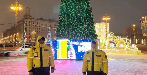 Обеспечение сохранности городских елок Сбербанка в центре Москвы